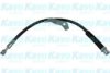 KAVO PARTS BBH-1020 Brake Hose